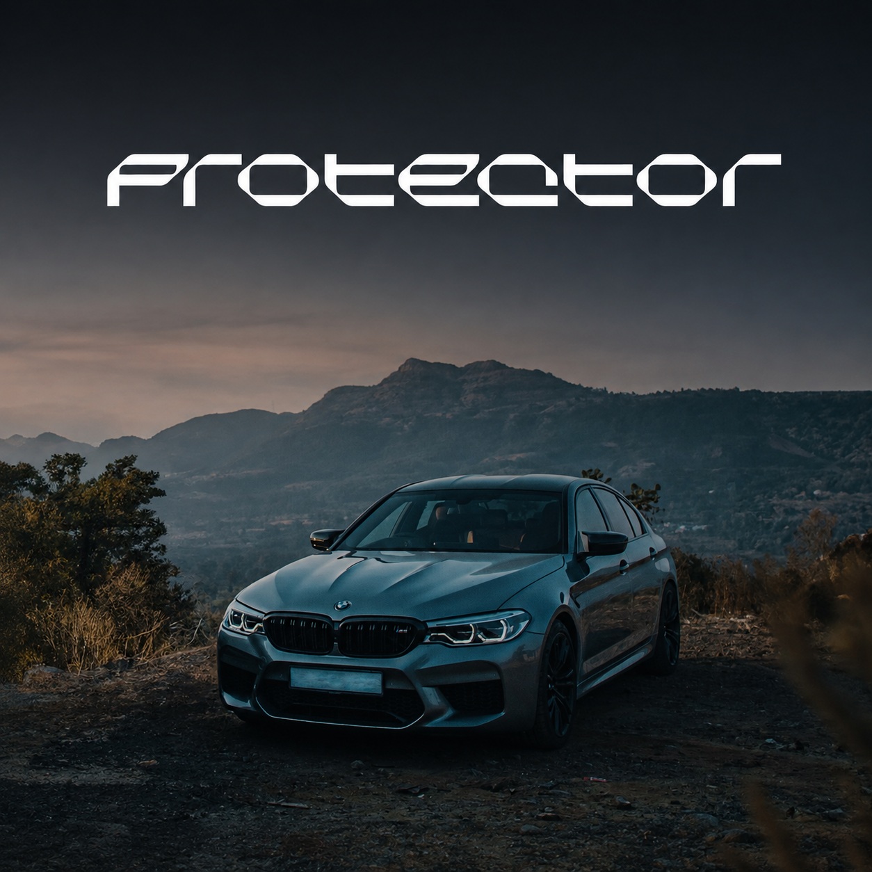 Protector Panthera Protector Panthera vindusfilm